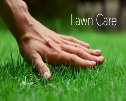 Lawn Care, Repair & Maintenance