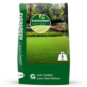 EVERGREEN LAWN SEED 5KG