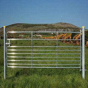 D9 GAL TUB 8' SHEEP GATE